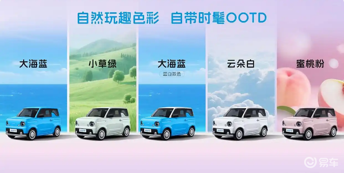 4.29万起售,睿蓝蓝气球的“硬伤”与“转机”